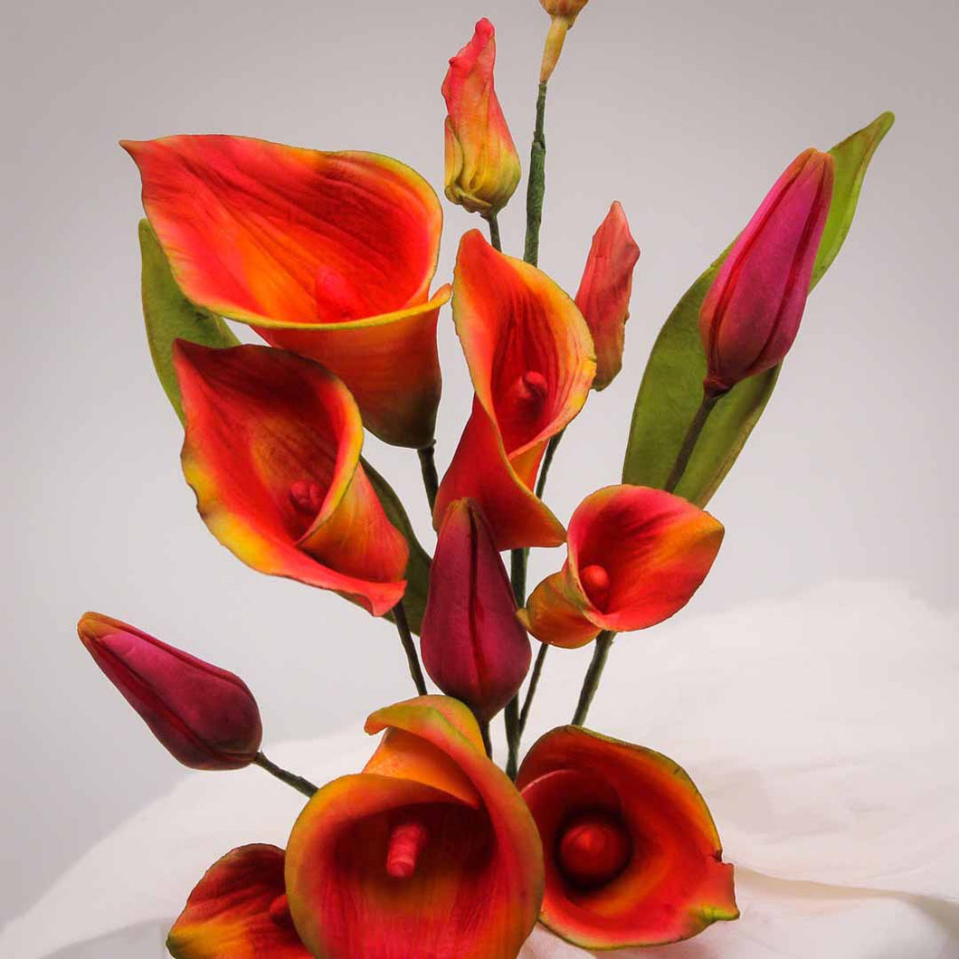 Bunch of Calla Lily