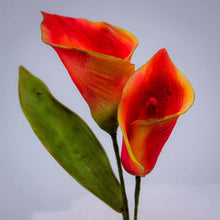 Load image into Gallery viewer, Bunch of Calla Lily
