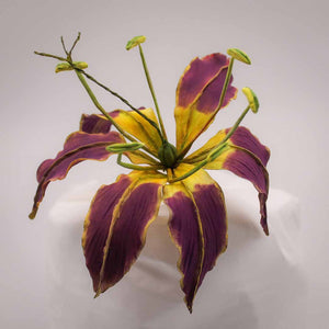 Flame Lily