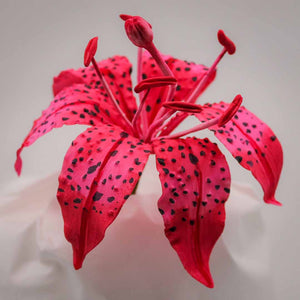 Lily