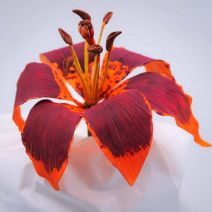 Lily